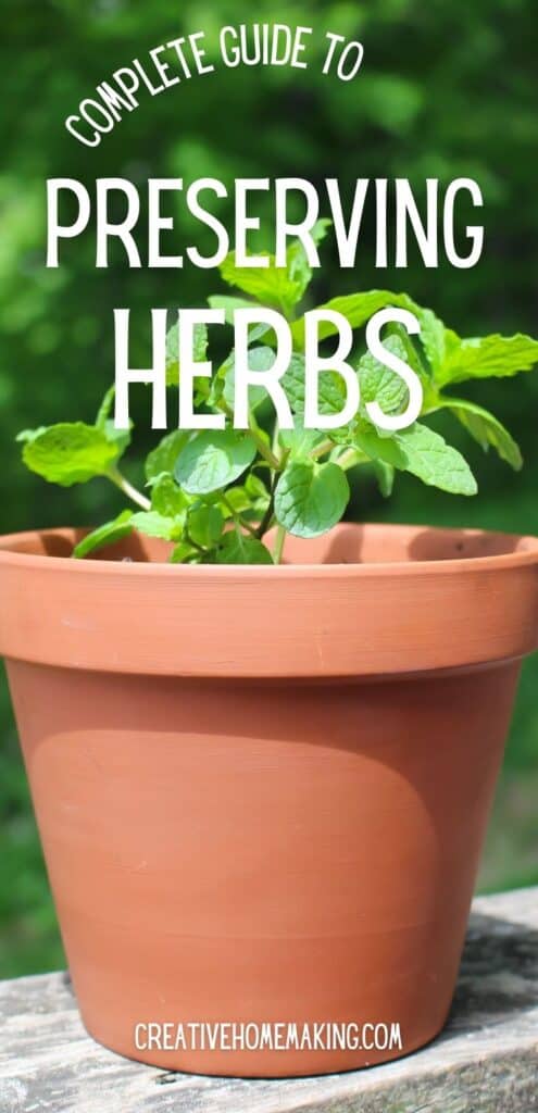 preserving herbs
