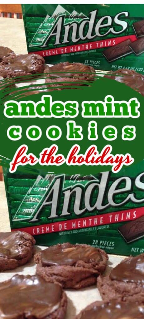 Sweeten your holiday festivities with delicious Andes Mint Cookies! These soft and chewy treats are infused with rich chocolate and topped with creamy Andes mint pieces, creating the perfect festive bite. Ideal for cookie exchanges or as a delightful dessert for Christmas gatherings, these cookies will surely impress everyone on your nice list.