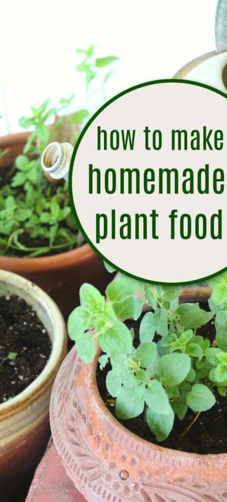 Best homemade plant food for indoor plants.