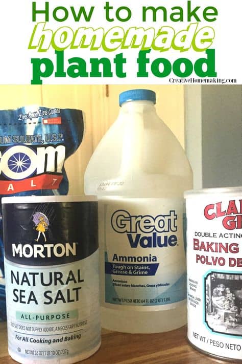 Homemade plant food recipes for indoor plants.