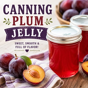 Easy Canning Plum Jelly Recipe You'll Love