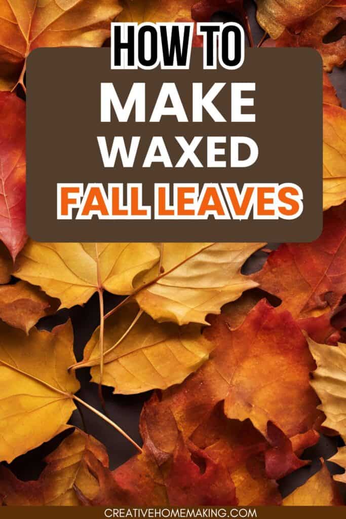 Bring the beauty of autumn indoors with our DIY Waxed Fall Leaves project! ✨ This simple and fun craft transforms vibrant fall foliage into stunning decorations that last. Perfect for creating centerpieces, wreaths, or seasonal decor, waxed leaves capture the essence of fall while preserving their colors and shapes. Follow our easy steps to wax and display your leaves, and enjoy the warm, cozy vibe of autumn all season long!