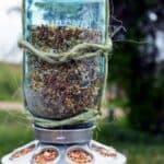 diy bird feeders