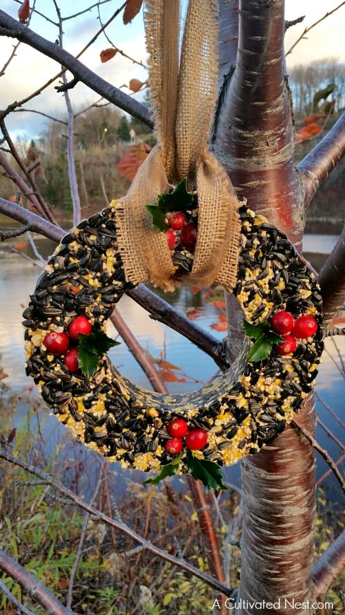bird seed wreath