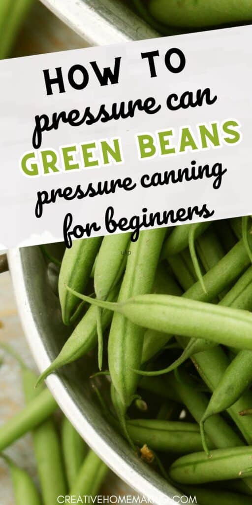 Preserve the fresh flavors of summer with our comprehensive guide to canning green beans. Learn the step-by-step process and enjoy homegrown goodness all year round.