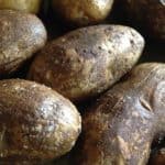 Need to bake potatoes for 20, 50, or more people? Find out how to make baked potatoes for a crowd and keep them warm up to 6 hours with these easy instructions.
