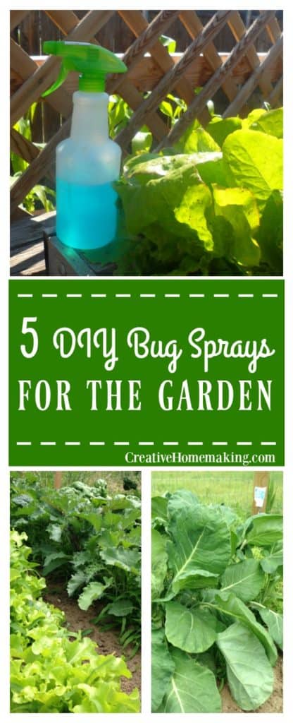 5 diy bug sprays for the garden