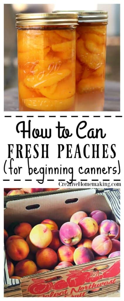 Easy recipe for canning peaches, includes how to can peaches in light syrup or in water with no sugar. Great canning recipe for beginners! 