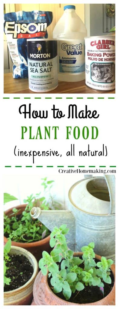 Easy homemade plant food made from household ingredients.