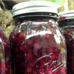 Canning blueberry pie filling, easy recipe for making and canning homemade blueberry pie filling from fresh blueberries.