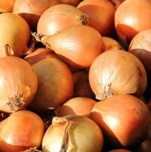Canning pepper onion relish. This pepper onion relish is made from a combination of green and red bell peppers and onions. It is slightly sweet and would taste great on a sausage or hot dog.