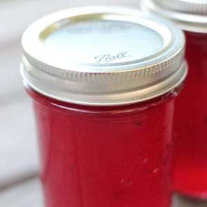 Easy recipe for canning plum jelly. Learn how to make jelly like a pro, just like grandma did.