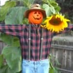 Easy, inexpensive DIY scarecrow you can use year after year to decorate for fall or Halloween.