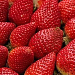 The best recipes for canning strawberries.