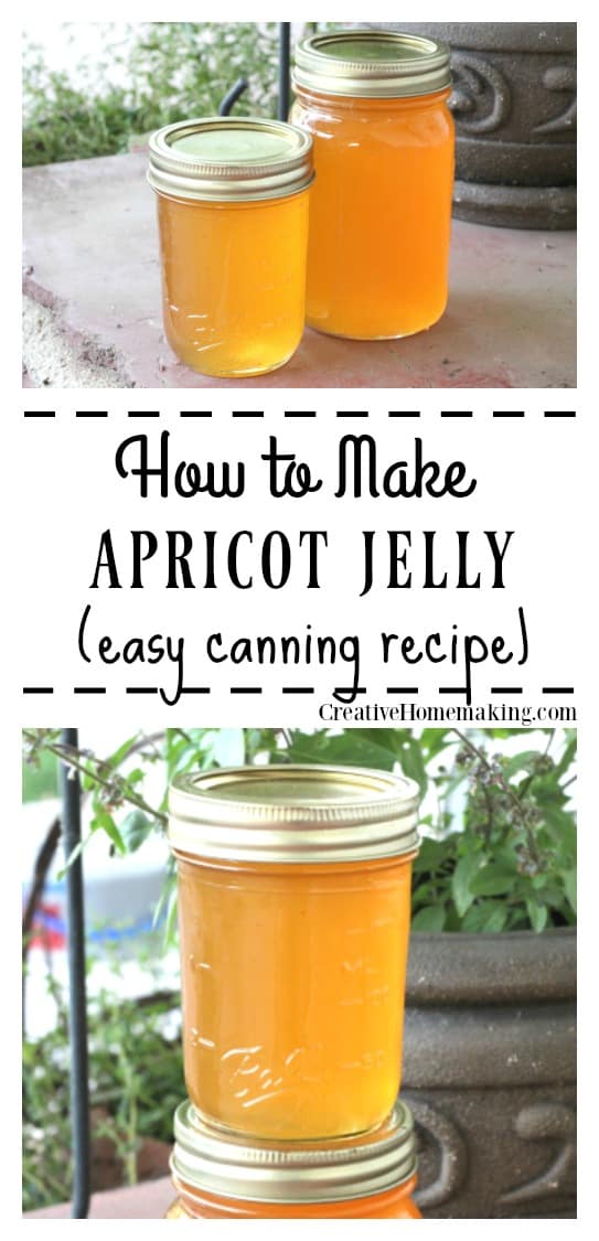 This apricot jelly is easy to make and a great alternative to apricot jam. Includes easy step by step canning instructions for beginning canners.