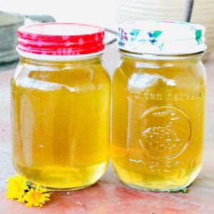Two pint jars of dandelion syrup