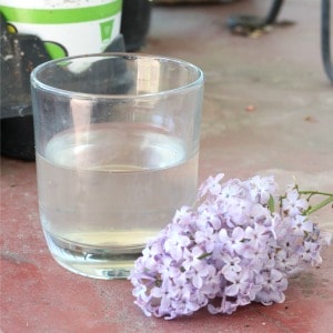 Glass of fresh lilac lemonade sitting on the front porch