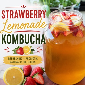 Learn how to make refreshing strawberry lemonade kombucha at home with fresh strawberries, bright lemon flavor, and naturally fermented tea. This fruity probiotic drink is lightly fizzy, easy to make, and perfect for warm summer days, backyard gatherings, or everyday sipping. A delicious addition to your collection of kombucha recipes and summer drinks.