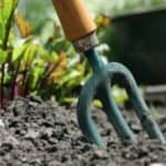 Easy DIY tips for keeping birds out of the garden. Ideas for keeping birds from eating your strawberries!