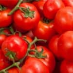 The best natural fertilizers for tomatoes