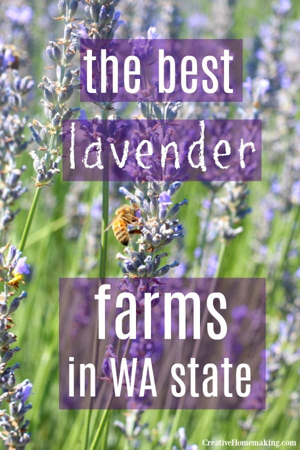 Comprehensive list of lavender farms in Washington State, including farms in both eastern and western Washington.