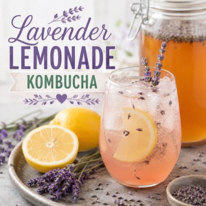 How to Make Lavender Lemonade Kombucha