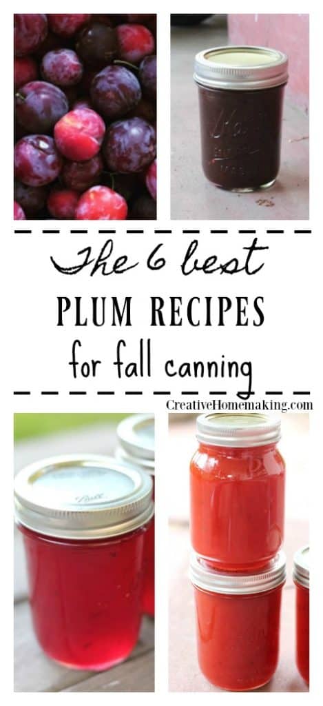 The best plum canning recipes. Easy recipes for making plum jam, an easy Asian plum sauce, and more.