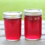 Easy recipe for old-fashioned homemade plum jelly.