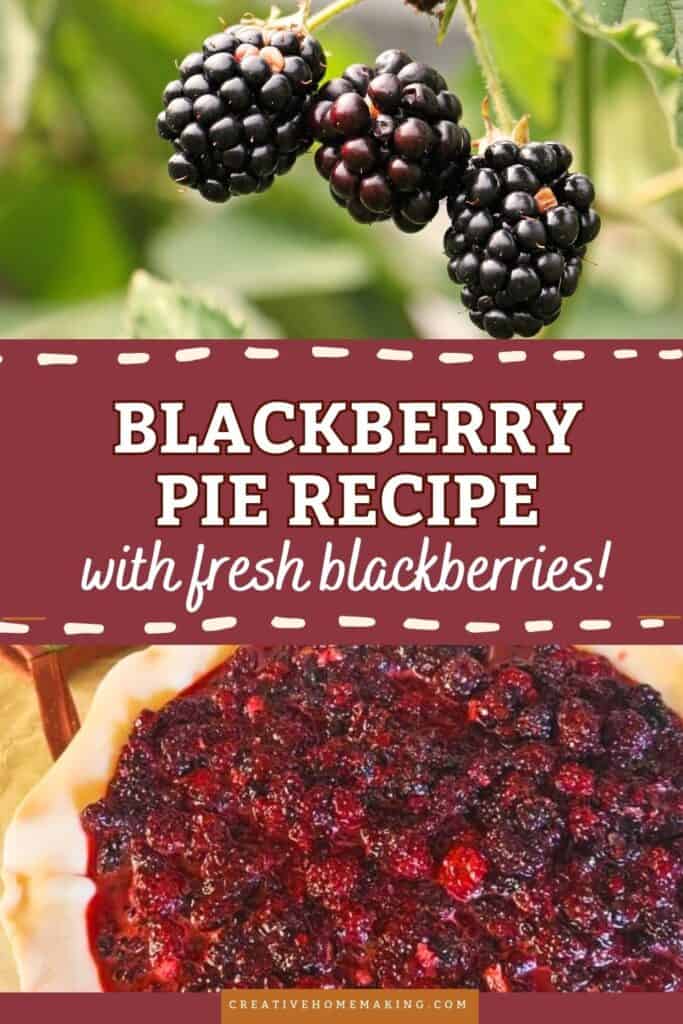 Celebrate the holiday season with a stunning fresh blackberry pie that’s sure to impress! Bursting with juicy blackberries and encased in a flaky, golden crust, this dessert brings a touch of summer to your festive table. Perfectly sweetened and spiced, it’s a delicious way to showcase seasonal flavors during Christmas gatherings.