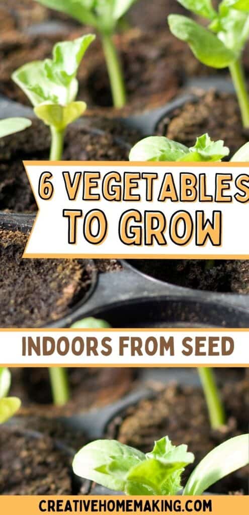 growing vegetables from seed