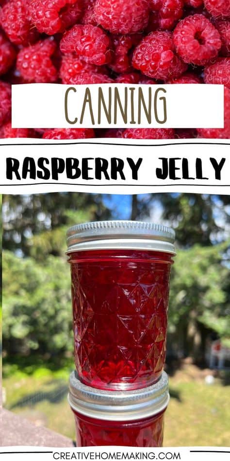 Capture the sweet and tangy taste of raspberries with our homemade raspberry jelly canning recipe! Made with fresh raspberries, sugar, and a touch of lemon juice, this jelly is perfect for spreading on toast, biscuits, or scones. Our step-by-step instructions make canning easy and fun, so you can enjoy the taste of raspberries all year round. Follow our board for more creative canning recipes and tips, and get ready to savor the sweet and tangy flavors of homemade raspberry jelly!
