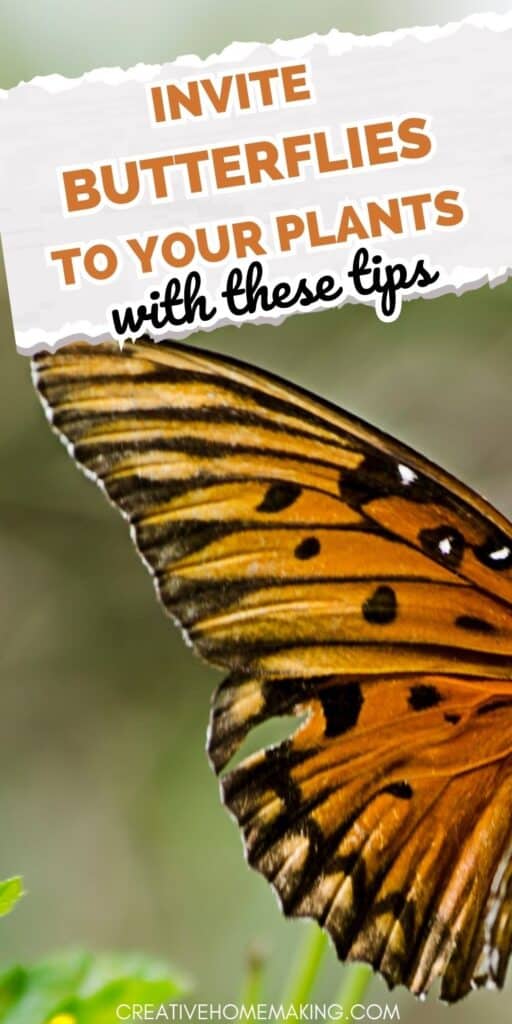 Attract Hummingbirds and Butterflies to Your Garden with These Plants
