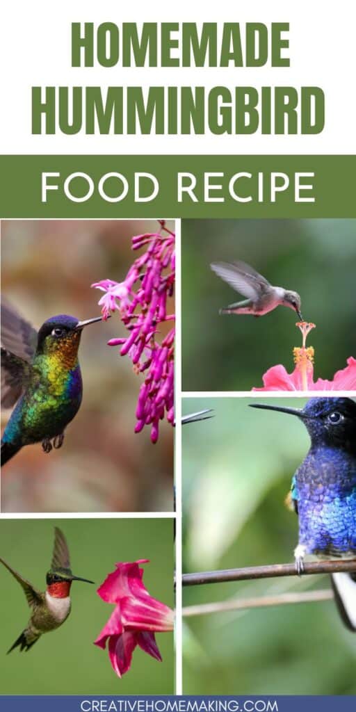 Invite the charm of hummingbirds into your garden with our homemade hummingbird food recipe. Create a nourishing and irresistible nectar to attract these delightful creatures, and witness nature's beauty up close. Join us in creating a haven for these tiny marvels!