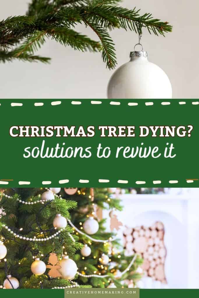 Is your Christmas tree looking droopy and lifeless? Don’t fret! Discover effective solutions to bring your tree back to life and ensure it stays vibrant throughout the holiday season. From checking water levels and adjusting the tree stand to proper placement away from heat sources, this guide covers all the steps you need to revive your holiday centerpiece.  Learn how to care for your tree, including tips on fresh cuts and hydration techniques, so you can enjoy a beautiful, healthy tree that fills your home with festive cheer! 