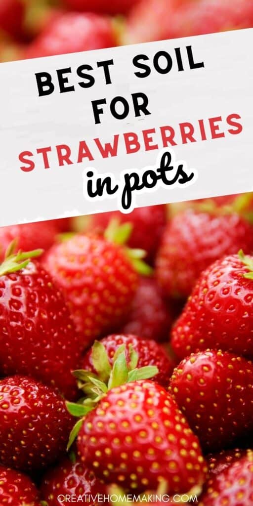 Want to grow strawberries in pots but not sure what soil to use? Look no further! Our guide to the best soil for strawberries in pots has got you covered. From pH levels to nutrient content, we'll help you create the perfect soil mix for your container-grown berries. Pin it now to start growing!"