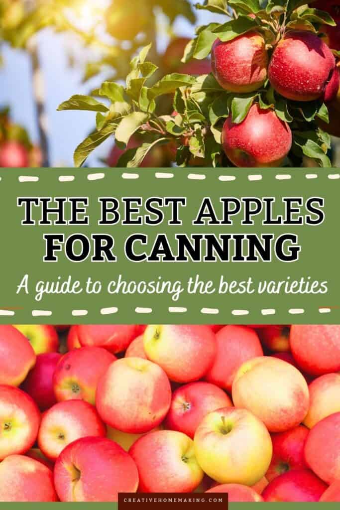 Discover the best apples for canning and elevate your preserves!  From tart Granny Smiths to sweet Honeycrisps, each variety brings its own unique flavor and texture to your canned goods. Whether you're making applesauce, pie filling, or apple butter, choosing the right apple is key to delicious results. Check out our guide to find the perfect apples for your next canning adventure!