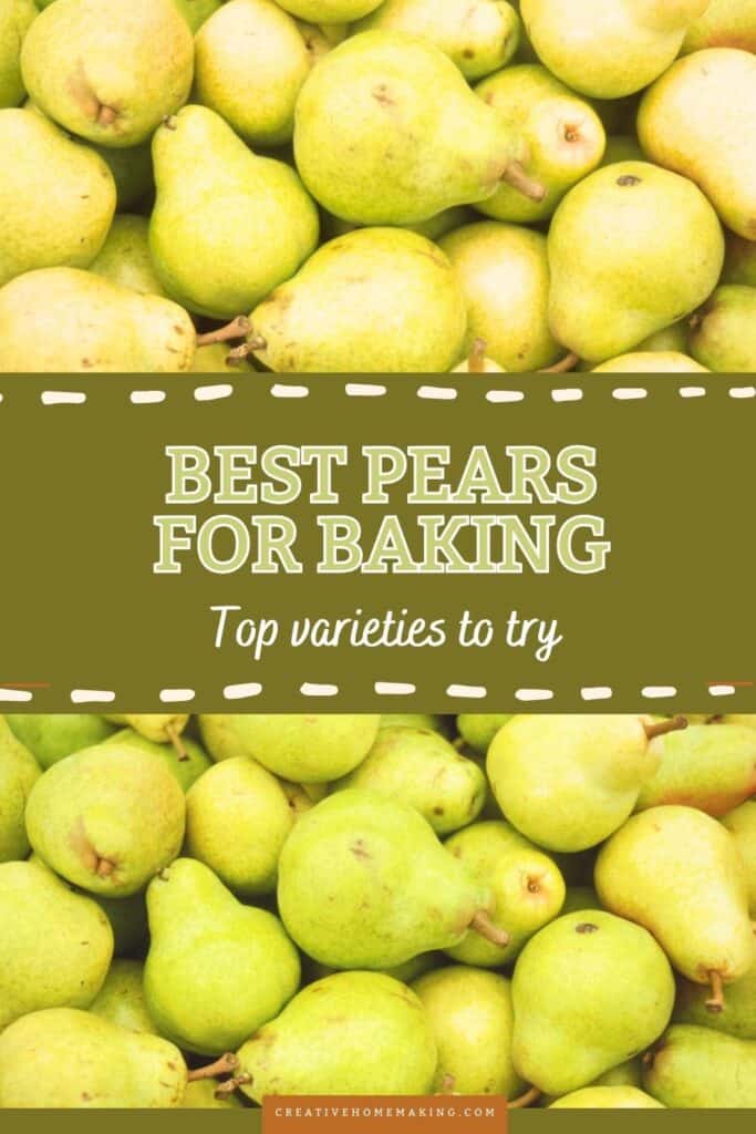 Discover the best pears for baking this fall and elevate your seasonal recipes!  From sweet Bartletts to flavorful Bosc, each variety brings its own unique taste and texture to pies, crisps, and tarts. Learn how to choose the perfect pears for your favorite baked goods and enjoy the delightful flavors of autumn in every bite. Get inspired to create delicious pear desserts that will impress your family and friends!