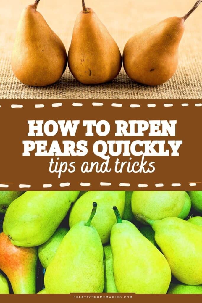 Got some hard pears and can’t wait to enjoy their sweet, juicy goodness? Discover the best methods to ripen pears quickly! From placing them in a paper bag with bananas to using the ethylene gas trick, these simple techniques will have you savoring ripe pears in no time. Perfect for snacking, baking, or adding to your favorite dishes, these tips ensure you’ll never have to wait long for that delicious flavor! 