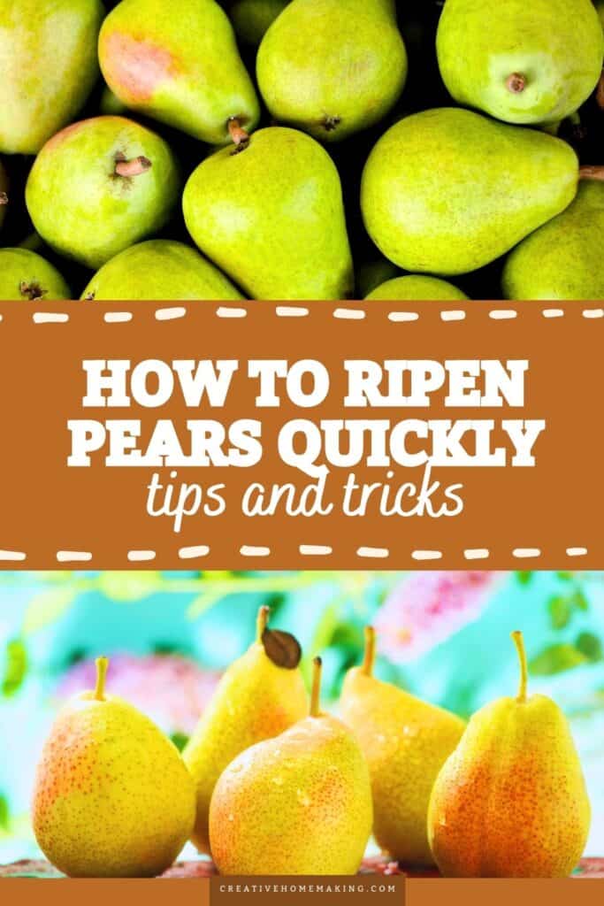 Don’t let hard pears sit around! Learn how to ripen them quickly with these effective methods. By using common kitchen items like paper bags and bananas, you can accelerate the ripening process and enjoy sweet, juicy pears in just a few days. Perfect for your favorite recipes or a healthy snack, these tips will make sure you get the most out of your pears!