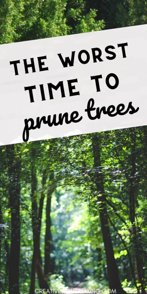 Discover the worst time to prune trees and avoid common pitfalls that can harm your beloved greenery. Our expert tips will help you understand the detrimental effects of pruning at the wrong time and how to protect the health and vitality of your trees.