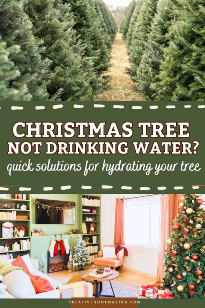 Is your Christmas tree not drinking water? Don’t worry—this common issue can be resolved with a few simple steps! Discover the reasons why your tree may be struggling to hydrate, from sap sealing the cut end to improper placement. Learn how to properly prepare your tree for optimal water absorption and tips to keep it fresh and vibrant throughout the holiday season. With the right care, you can ensure your tree stays healthy and beautiful, filling your home with holiday cheer! 