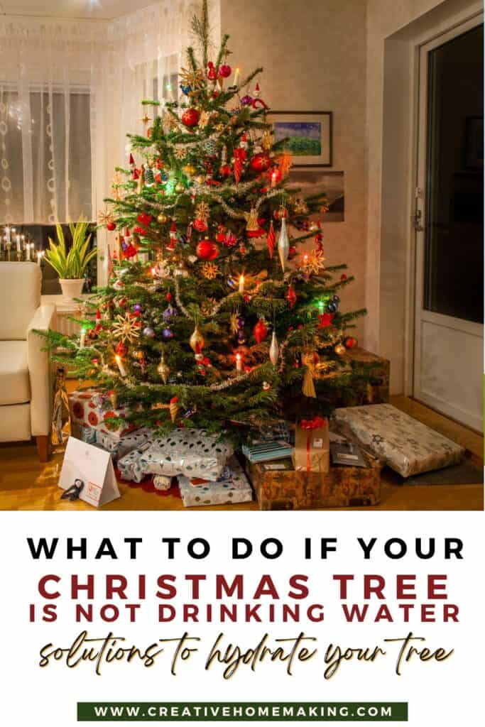 Is your Christmas tree not drinking water? Don’t let a thirsty tree ruin your holiday cheer! Discover practical tips and tricks to encourage your tree to hydrate properly. From checking the cut on the trunk to adjusting the water level, we’ve got you covered. Keep your tree fresh and vibrant all season long with our easy solutions! 