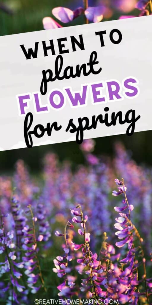 Dreaming of a colorful spring garden? Find out when to plant flowers for a stunning display of blossoms. Explore planting tips and ideas to create a beautiful and vibrant springtime oasis.