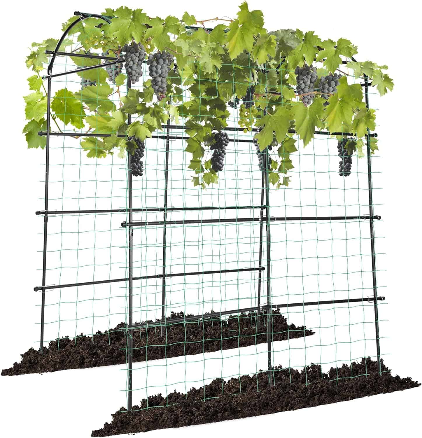 7Ft. Arch Trellis for Climbing Plants, 7 x 6 x 7ft Tall Metal Tunnel Trellis, Lightweight Metal Plant Support Archway with Nylon Netting for Climbing Vine, Vegetables, Fruits, Flowers, Black