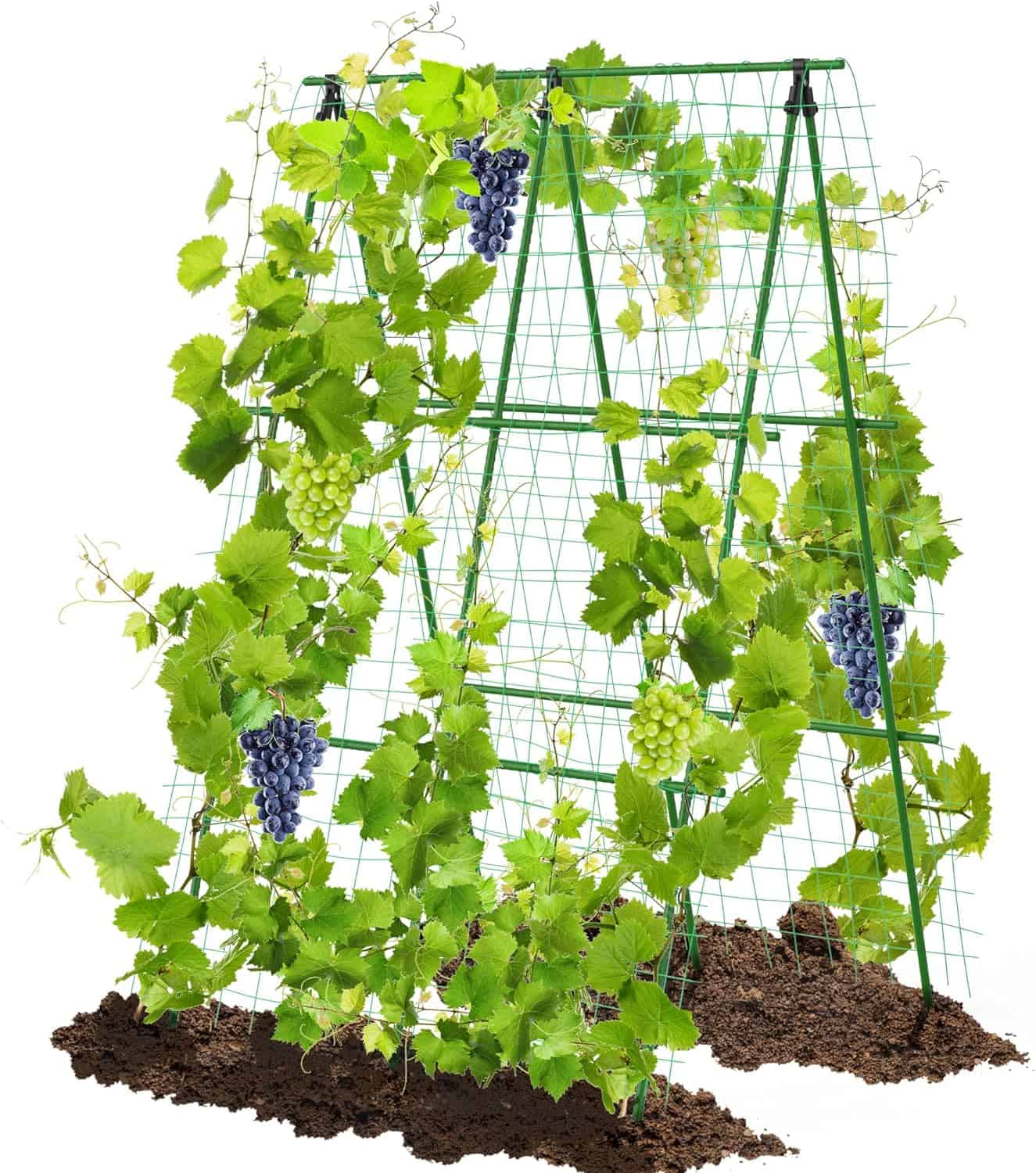 4' x 6' Garden Trellis for Cucumber Climbing Plants Outdoor,Sturdy Metal Plant Support Tower Garden Vegetable Fruit Vine Cucumber Trellis, A Frame Trellis