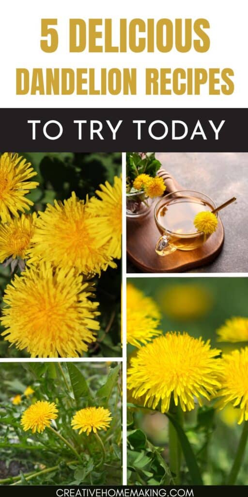 Discover the vibrant and nutritious world of dandelion recipes, including salads, soups, pesto, and smoothies that celebrate the unique flavors of this versatile ingredient.