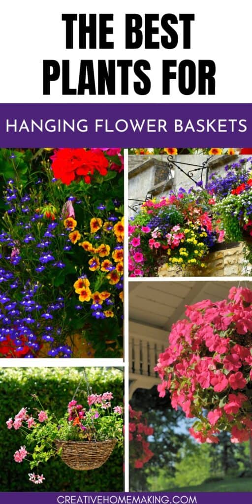 Elevate your garden with the best plants for hanging flower baskets! From vibrant petunias to cascading ivy, these plants are perfect for adding a burst of color and greenery to your porch or patio.