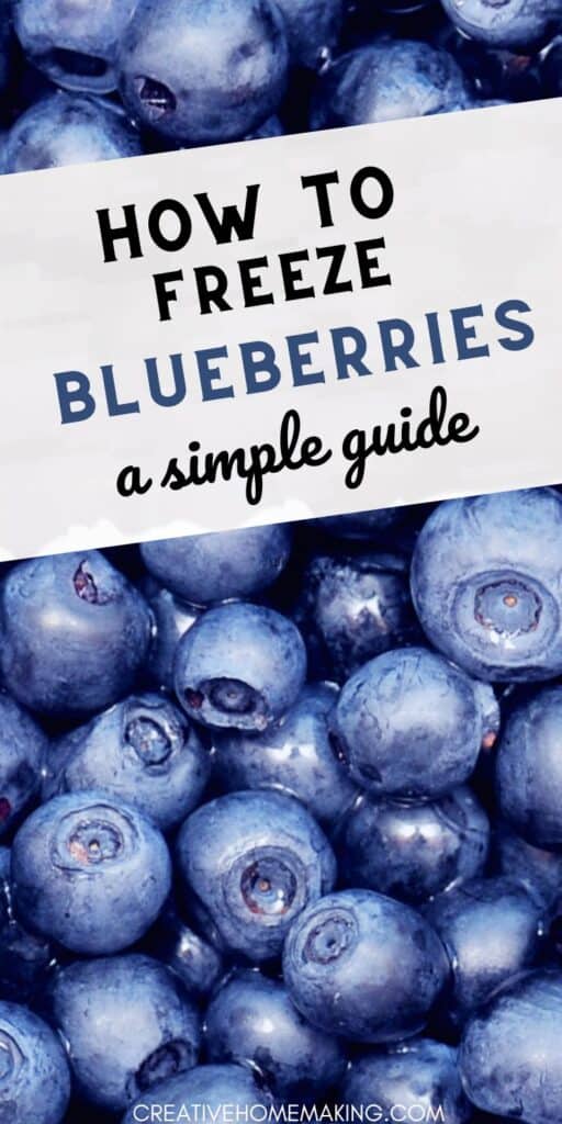 Preserve the taste of summer with our easy guide on how to freeze blueberries! Discover tips for selecting the best berries, preparing them for freezing, and storing them for maximum freshness. Perfect for smoothies, baking, or snacking all year round!