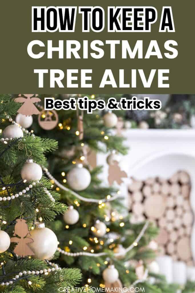 Keep the holiday magic alive with a thriving Christmas tree! Learn essential tips for keeping a Christmas tree alive, including ideal temperatures, hydration hacks, and decoration dos and don’ts. This easy-to-follow guide will help you enjoy a stunning tree that lasts throughout the festive season. 