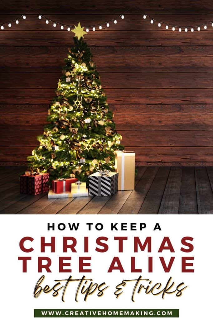 Want to keep your Christmas tree looking fresh and vibrant throughout the holiday season? Check out our essential tips on how to keep your tree alive longer! From proper watering techniques to ideal placement and maintenance, we’ll help you create a festive atmosphere without the hassle of a drying tree. Enjoy the beauty of your holiday centerpiece all season long! 